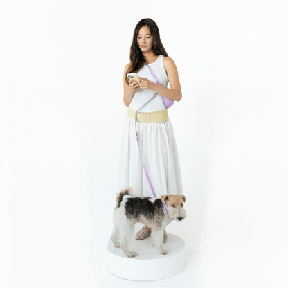 Hands-Free Dog Walking Bag with 4ft Leash
