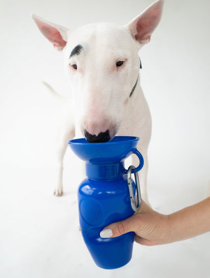 22oz Original Dog Travel Water Bottle