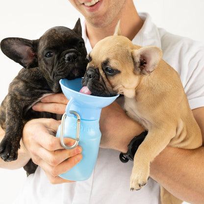 15oz Original Dog Travel Water Bottle