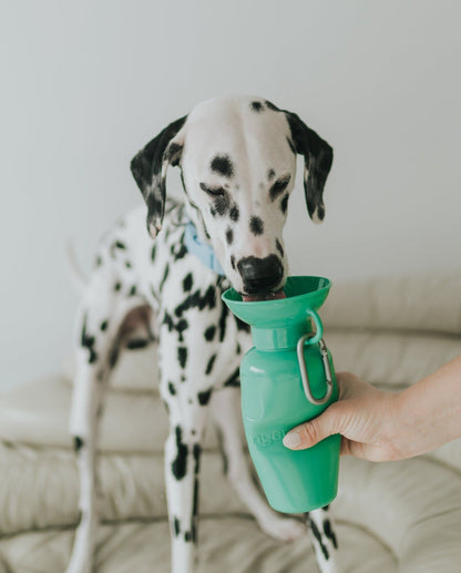 22oz Original Dog Travel Water Bottle