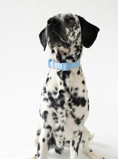 Original Waterproof Dog Collar