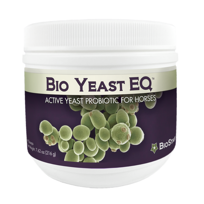 Bio Yeast EQ