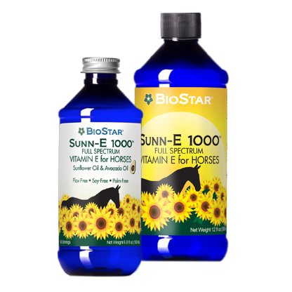 Sunn-E 1000
