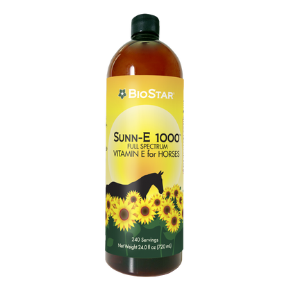 Sunn-E 1000