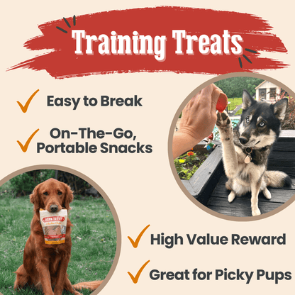 Turkey & Chicken Chip Dog Treat Duo | Single-Ingredient Poultry Treats for Dogs