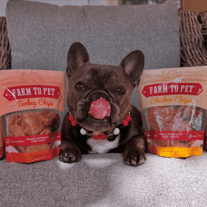 Turkey & Chicken Chip Dog Treat Duo | Single-Ingredient Poultry Treats for Dogs