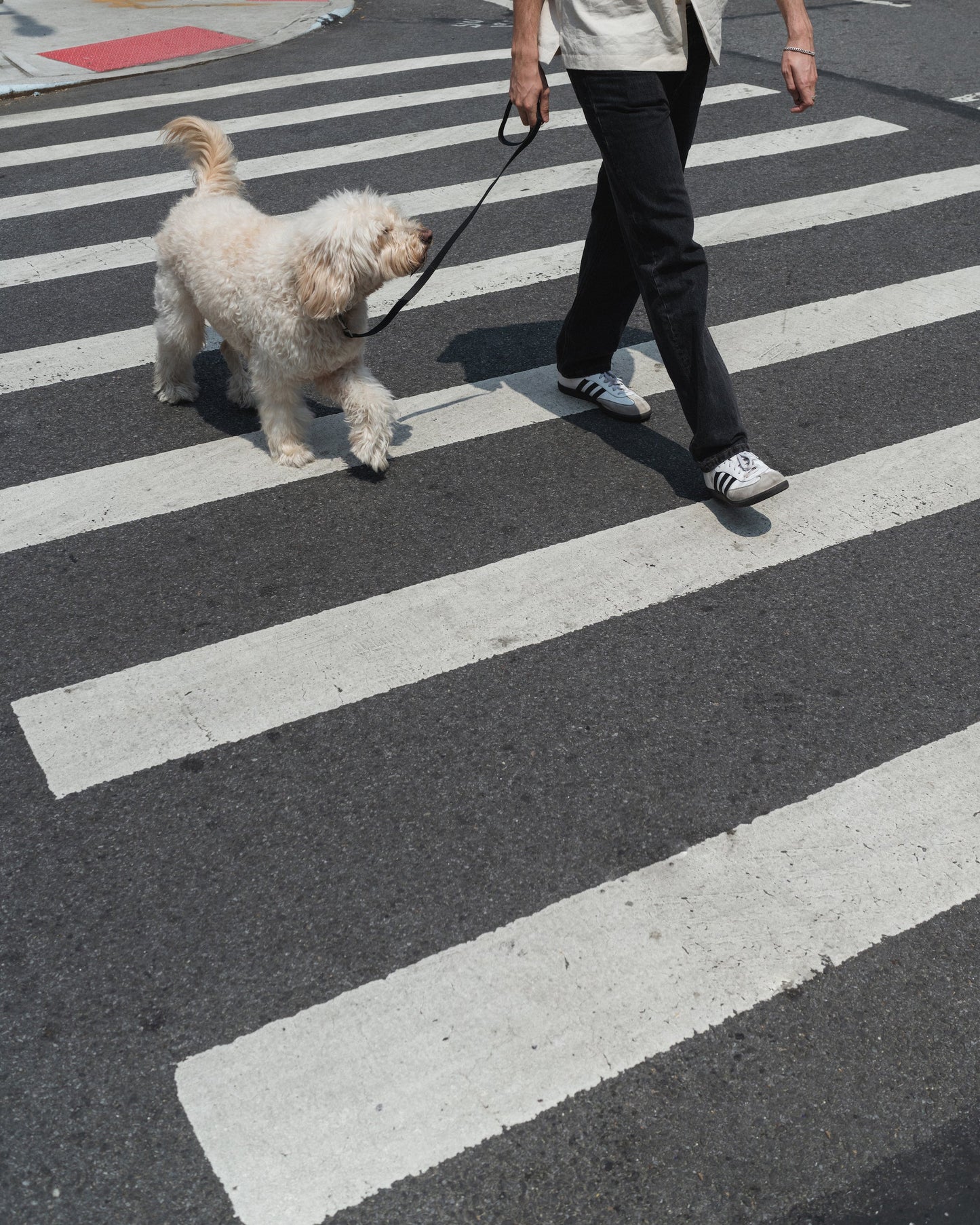 Original City Dog Leash - 3.25ft