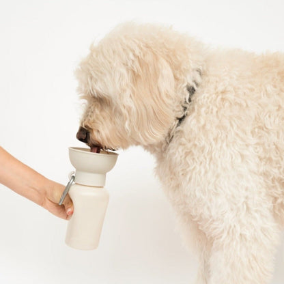 Dog Essentials Gift Box Set